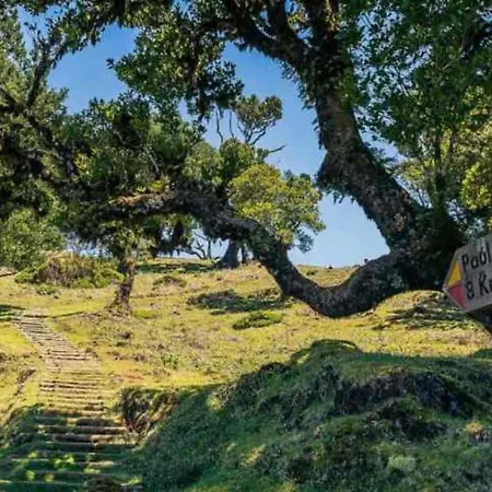 A Escapadinha Ribeira da Janela